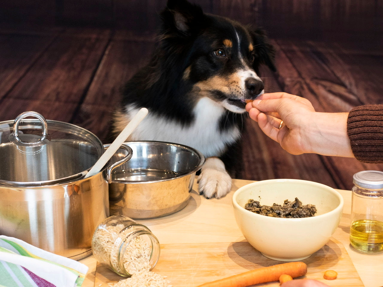 Individuelle Mens fr jeden Tag: Hundefutter selbst kochen