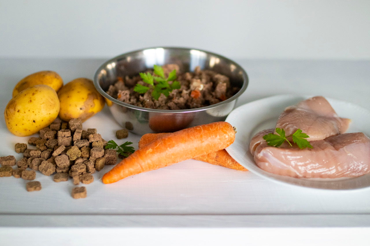 Artgerechte und gesunde Hundeernährung