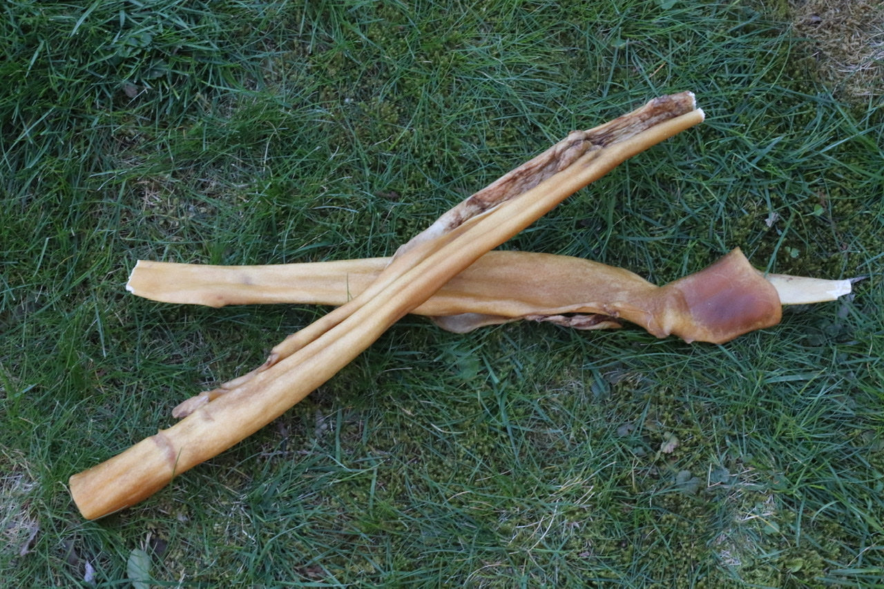 langanhaltende kauartikel hund