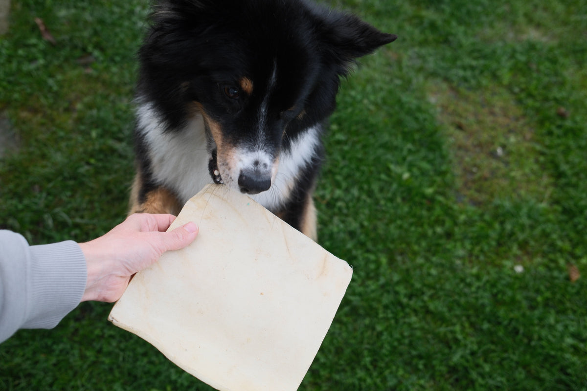 Büffelkopfhaut Platten