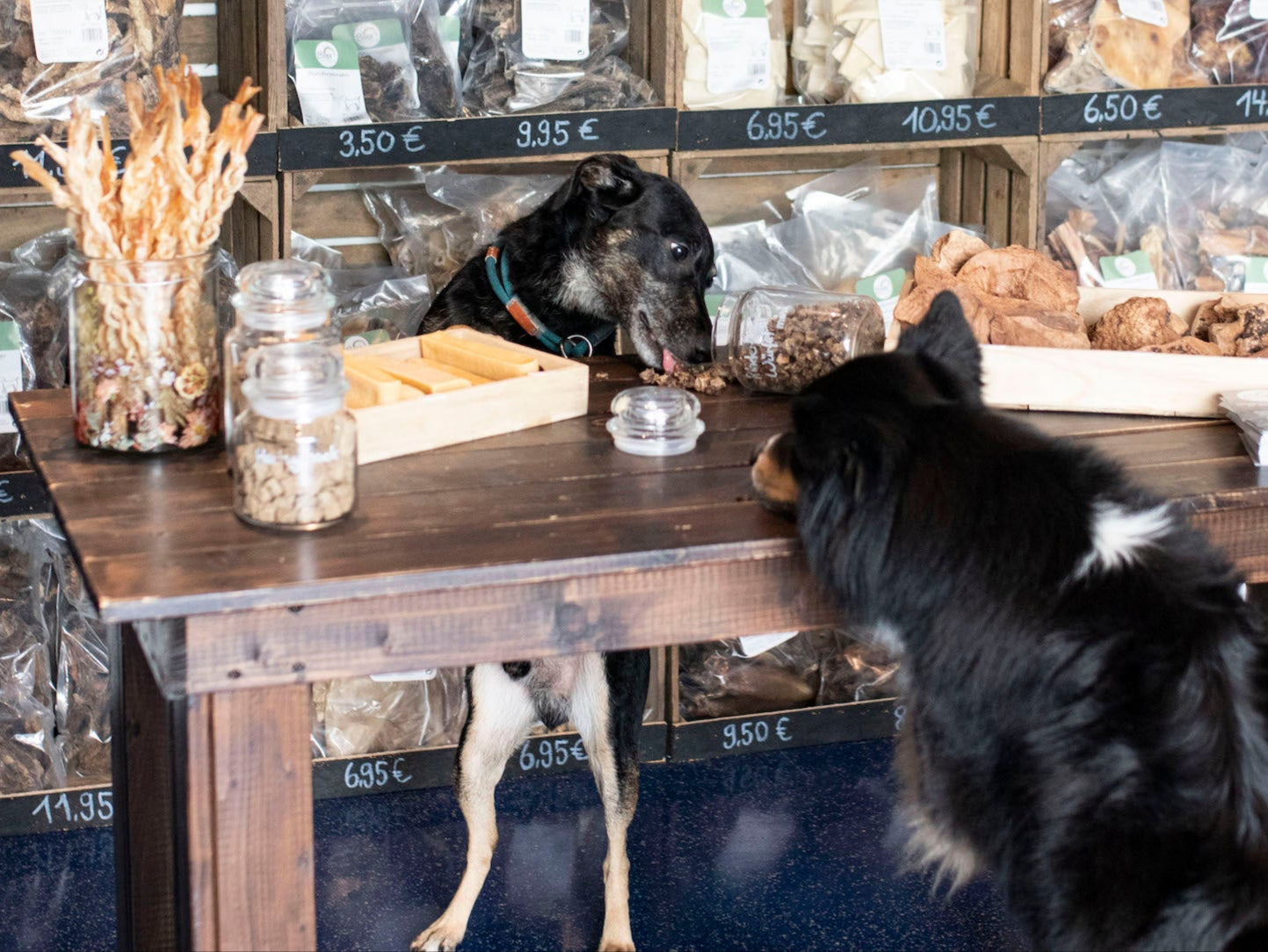 Hunde Kau Snacks von Bora Products