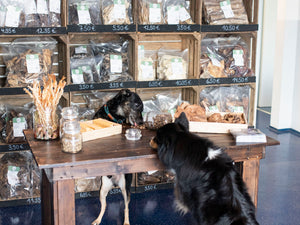 Hunde Kau Snacks von Bora Products