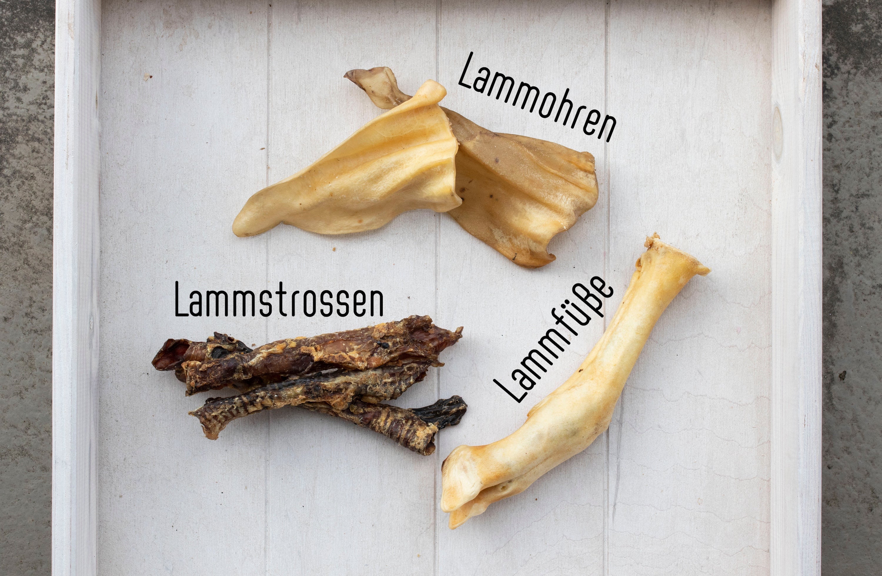 Lamm-Bundle