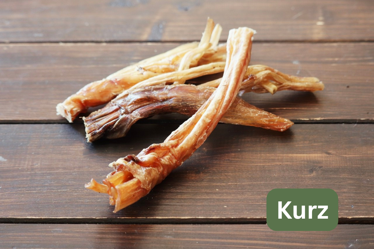 Straußensehnen Probierstück