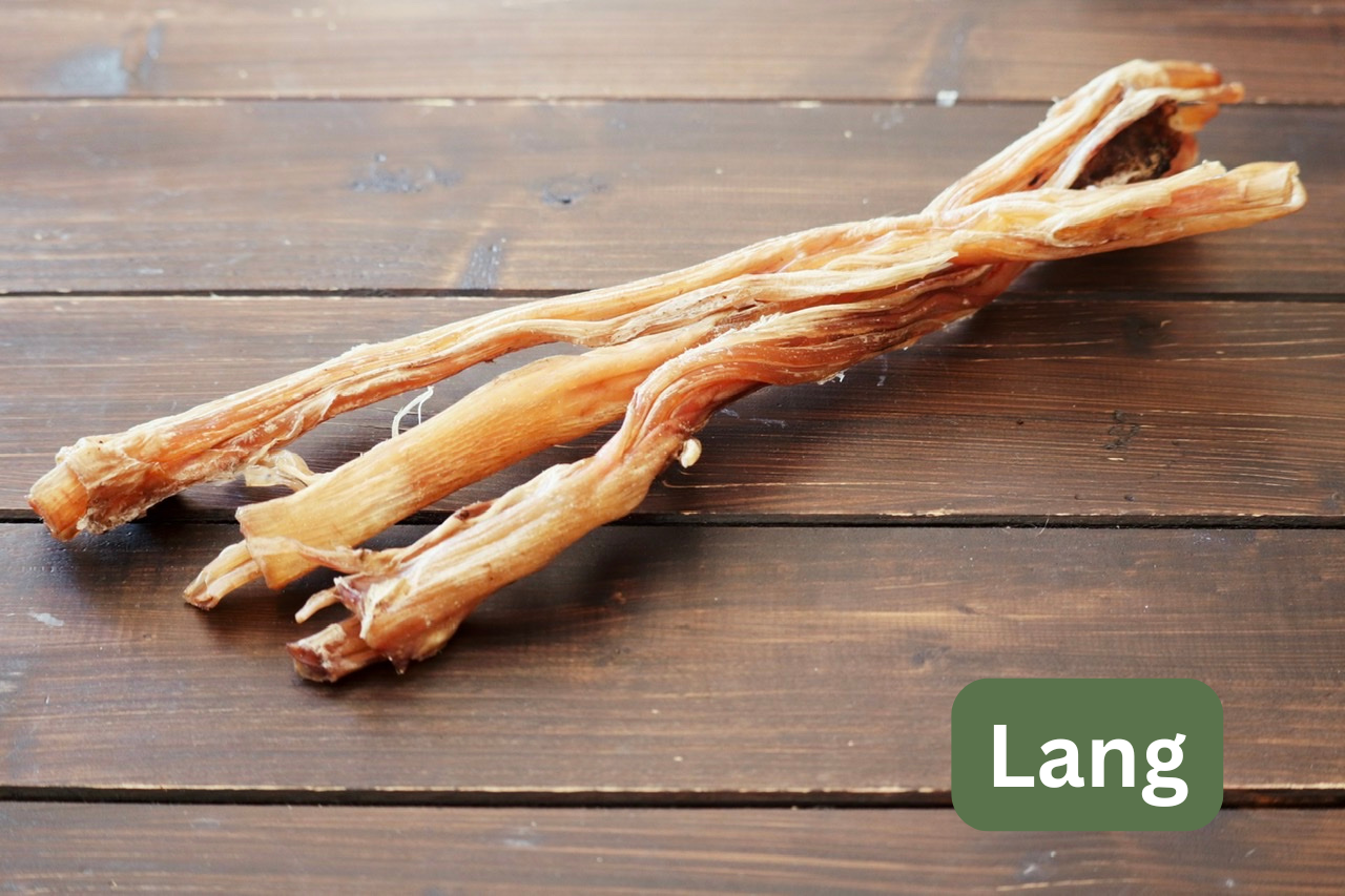 Straußensehnen Probierstück