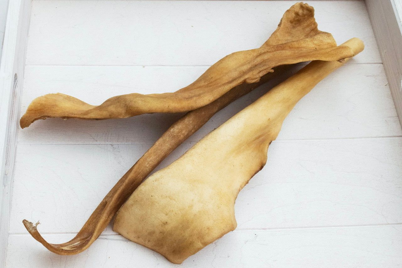 Lange Büffelkopfhaut - ein harter Snack als Beschäftigung für deinen Hund!