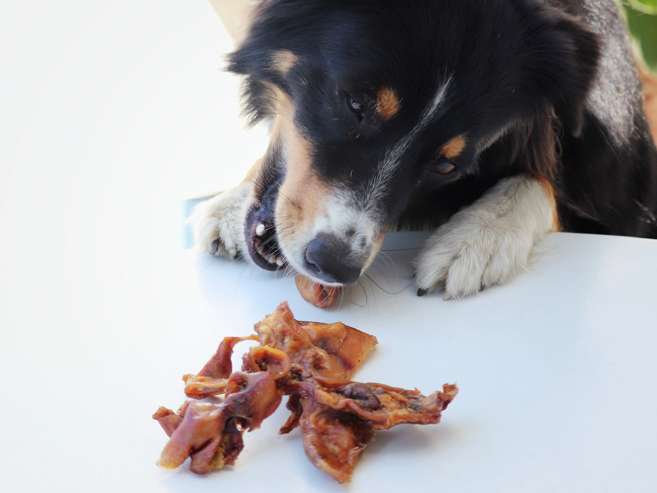 Schweineohrstreifen - ein knackiger Snack für zwischendurch