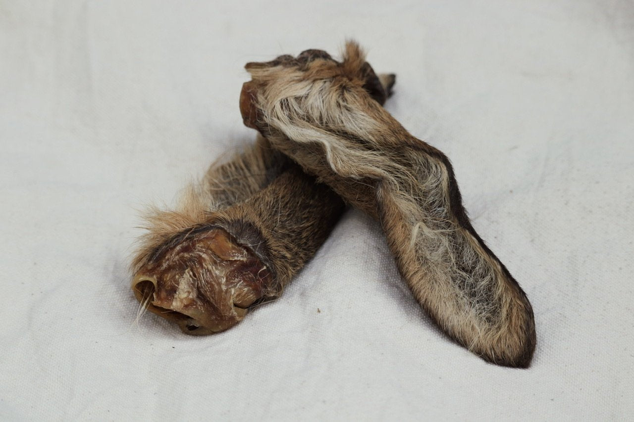 Unsere getrockneten Rehohren mit Fell - ein toller Wild-Snack für deinen Hund!