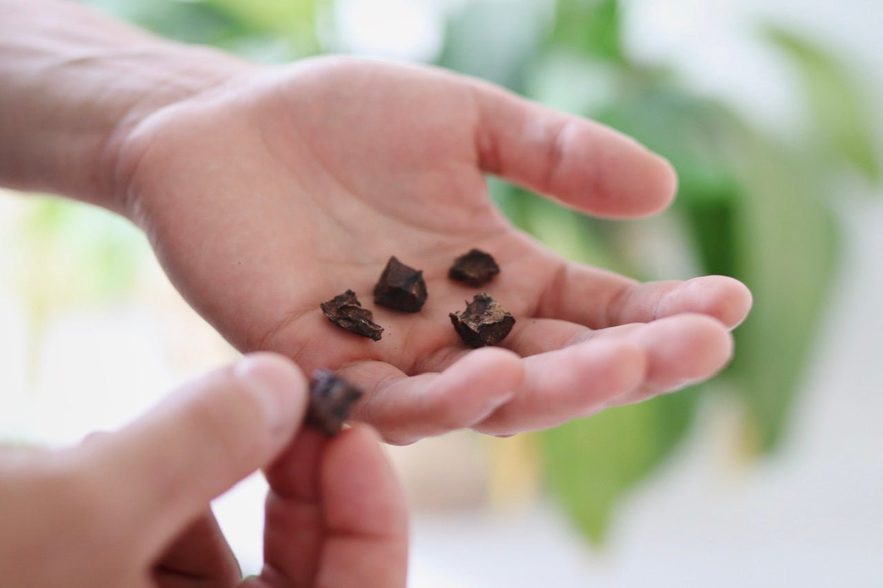 Lammlungen Würfel - tolle naturbelassene Leckerchen aus 100% Lammfleisch!