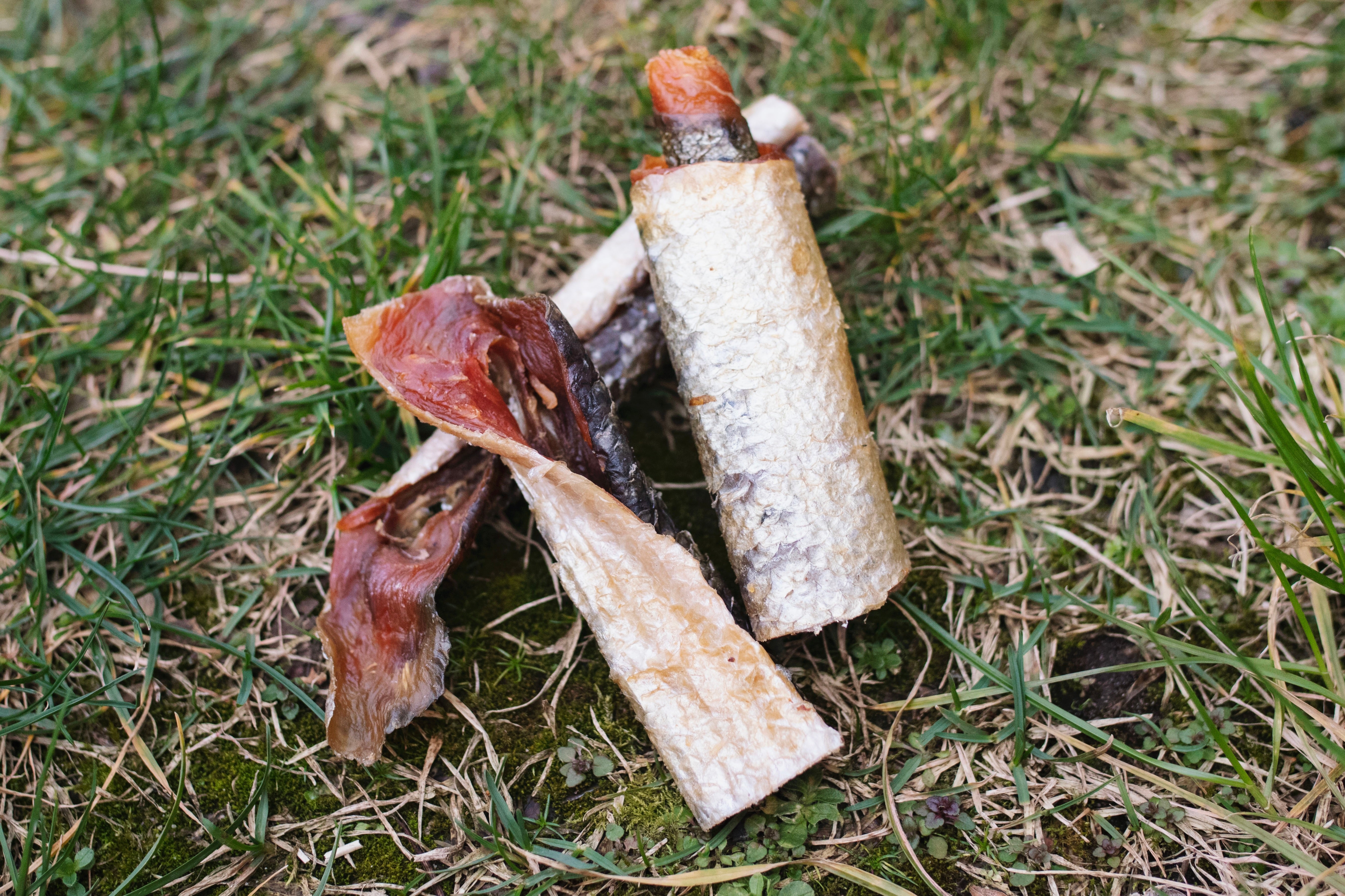 Lachshaut Probierstück