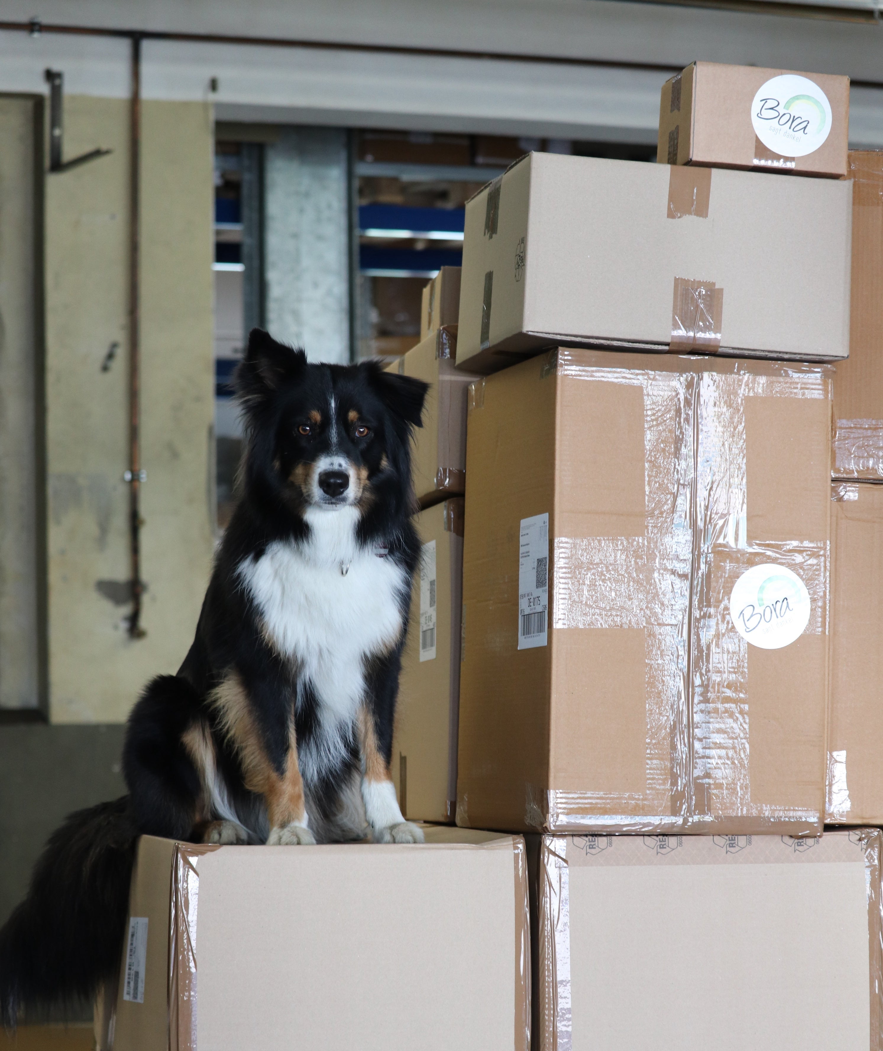 Warum wir unsere Versandkosten-Grenze wieder erhöhen – und was das für nachhaltigeres Bestellen bedeutet