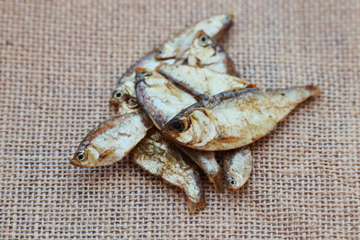 Getrocknete Fische - ein tolles Leckeren für deinen Hund
